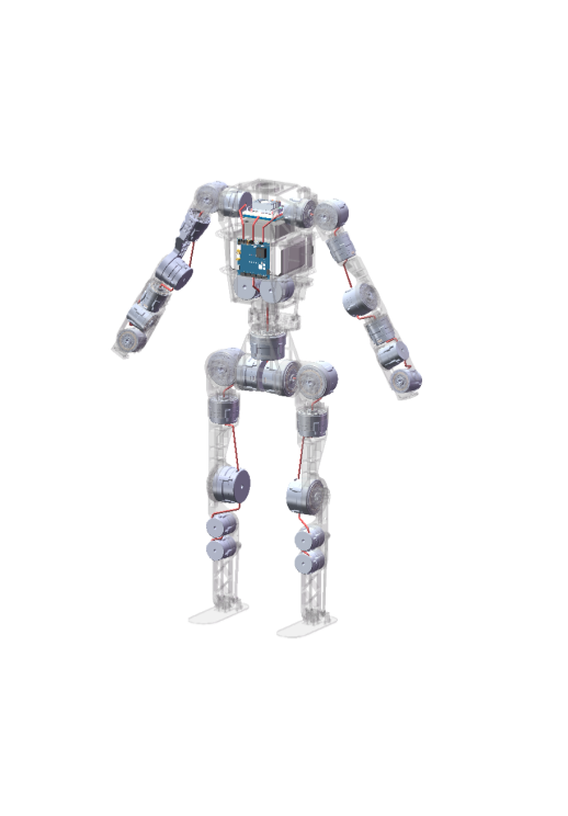 Customize Your Robot