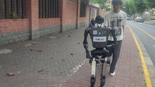 BXI Human Sized Bipedal Robot Humanoid Robot Elf Open Source Programming